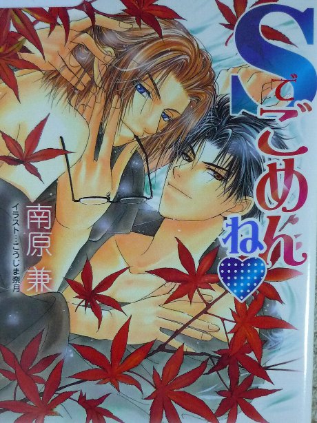 Ｓでごめんね　南原兼(著)